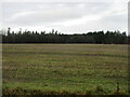 Field to the south of Brechin in DD9 6TL