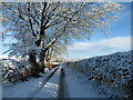Snow at Whiteshawgate, Strathaven in ML10 6SY