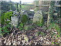 Stone Stile, Pitchcombe in GL6 6ED