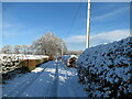 Snow at Whitegateshaw, Strathaven in ML10 6SY