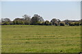 Farmland by Bones Lane in RH6 9JZ
