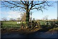 Public footpath off Crown Lane in WA16 9SG