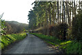 Lane from Huish to Oare in SN8 4JL