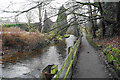 Path by the River Goyt in SK23 7JU
