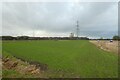 Fields north of Hillam Lane in LS25 5HW