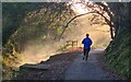 An early morning run alongside Tregoniggie Stream in TR11 4QH