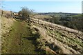 Path and gate above Coldwell Bottom in GL53 9NJ