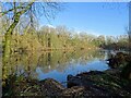 Old reservoir fishing lake in Ashby Woulds