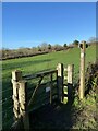 Public footpath across fields in SA67 8NA