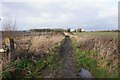 Path leading towards Wilmore Road in DE73 5BG