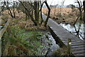 Boardwalk on edge of Holt Heath in BH22 0LP