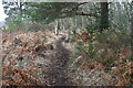 Path on edge of Holt Heath in BH22 0LP
