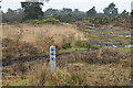 Bridleway junction on Holt Heath in BH21 7LA