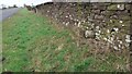 Verge and dry stone wall on east side of A6 at Mounsey Bank in CA11 9NP