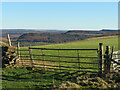 Hilltop pasture above Stoney Gill Hole in YO62 5LS