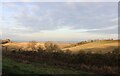 View across Birkitt Hill, Little Offley in SG5 3DE