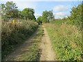 Hedge enclosed public byway near to Buckminster Lodge Farm in Buckminster