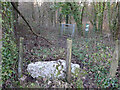 Stone Stile, Tidenham Chase in NP16 7LX
