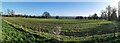 Hatch Beauchamp : Grassy Field in TA3 6DE
