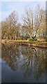 Reflections in The Bridgewater Canal in Boothstown & Ellenbrook Ward