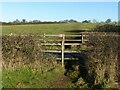 Stiles at the lane to Wolds Farm, Normanton in Normanton-on-the-Wolds