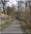 Footpath - Syke Lane, Earlsheaton in WF12 8LP