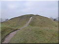 The motte on Totternhoe Knolls in LU6 2BS