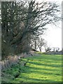 Field boundary north of Castle Farm in Egglestone Abbey