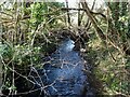 Brook running down to the Trent in DE15 9TX