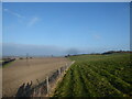 Fenceline view below Ivinghoe Beacon in LU7 9DP