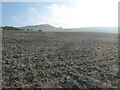 Ivinghoe Beacon viewed from the Two Ridges Link route in LU7 9DP