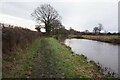 Coventry Canal towards bridge #49 in CV9 3DS
