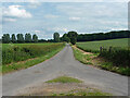 Brinkle Spring Lane near Washingborough in Heighington
