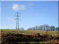 Electricity pylon near Warren Farm in Holly Forest Town Ward