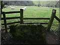 Stone Stile, Cleeve Hill in GL54 5AE