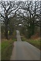 View eastwards along Tofts Chase, Little Baddow in CM3 4BY
