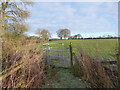 Footpath line across fields in ST20 0JA