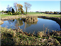 Pond, Alton Green, Lower Holbrook in IP9 1BT