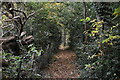 Footpath by Chigwell Golf Course in IG7 5QZ