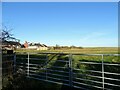 Field gate at White-le-Head in DH9 9HU