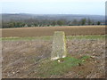 Park Farm trig in SO21 1FR