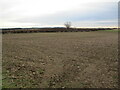 Prepared field off Broomhill Lane in NG20 9PF