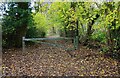 Gate on lane into Wyre Forest, near Buttonoak in DY12 3AG