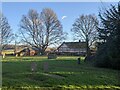 Trees at the Old House (Vowchurch) in HR2 0RH