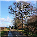 Lane with oak tree near Upper Farmcote in Shropshire in WV15 5PS