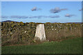 The trig point on Rumbleton Law in TD10 6XS