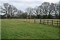 Fields beside Verwood Road in BH21 8LJ