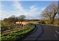 Bridge over the River Tame south of Elford in B79 9BJ