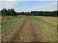 Track off Shakers' Road near Mayday Farm in IP27 0SS