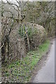 Footpath off Kent Lane in TN32 5HD